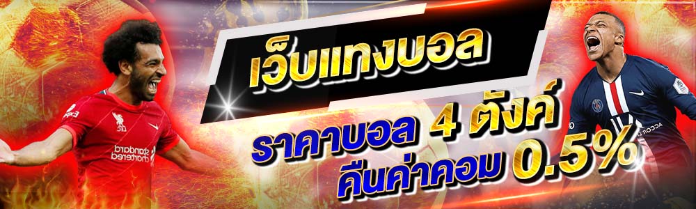 เว็บแทงบอล