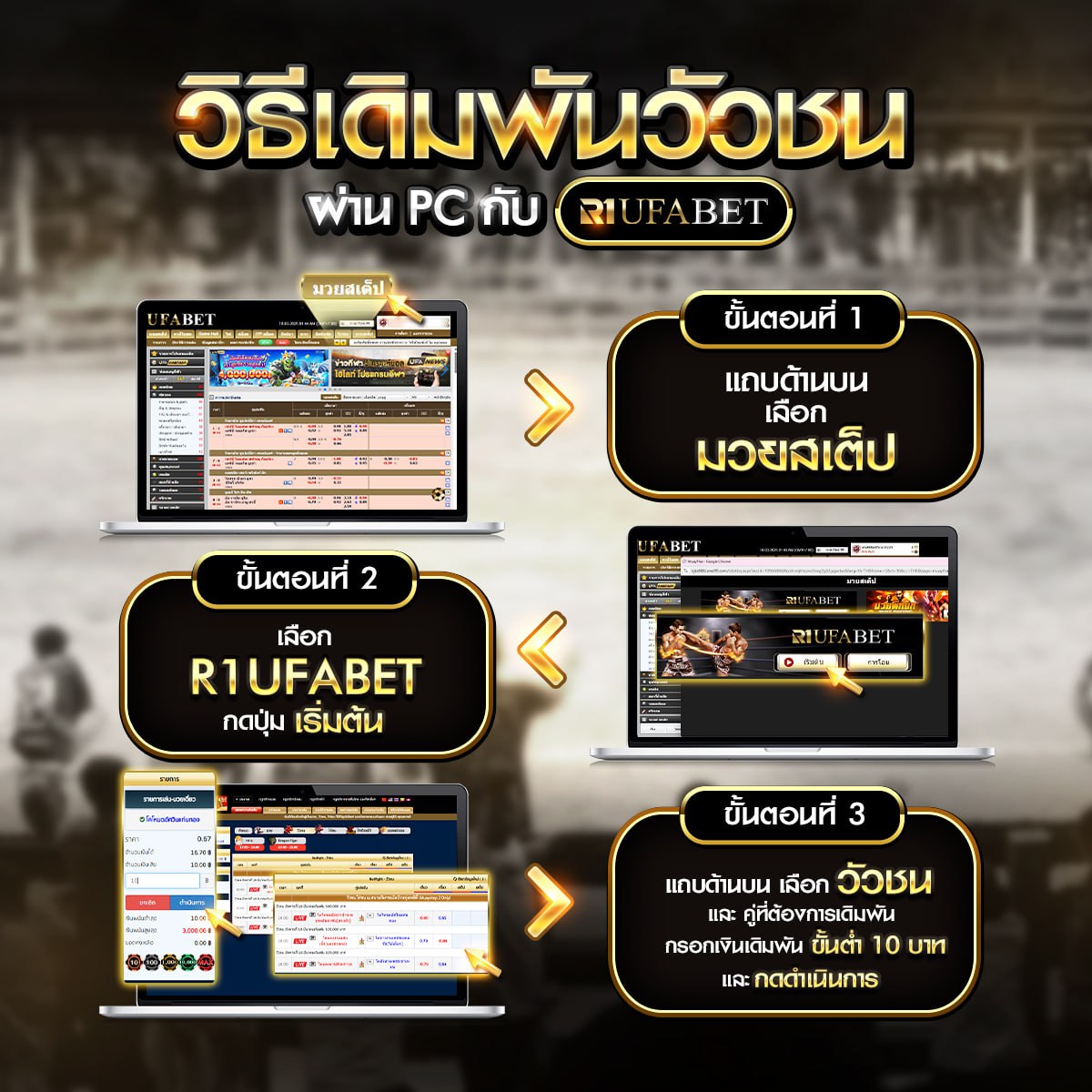 วิธีเดิมพันวัวชนผ่านPC