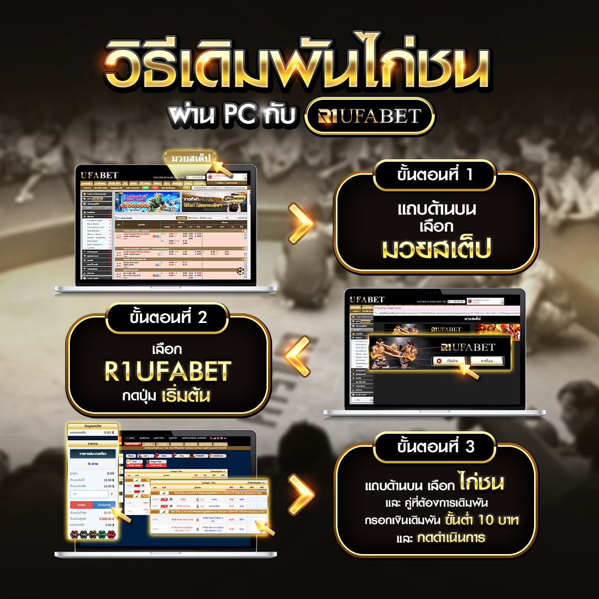 วิธีเดิมพันไก่ชนผ่านPC